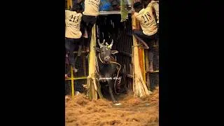 🤩🔥 #bull #jallikattu