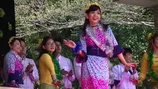 Tokyo Myanmar Thingyan Festival 2018, တိုကျိုသင်္ကြန်ပွဲတော်, ダジャン祭り 3/10