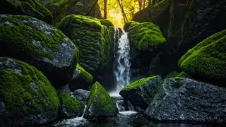 Relaxing Piano and Flowing Water Sounds for Healing and Better Sleep 🌿