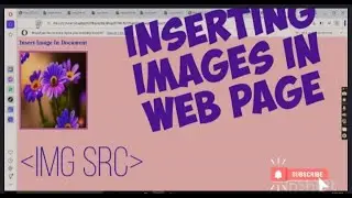 inserting images in web pages|Apply bgcolor|add background image|change text color|html|inline css