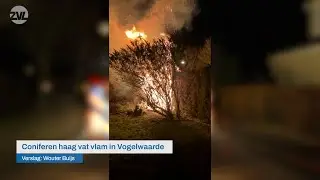 Coniferen haag vat vlam in Vogelwaarde - 112 Nieuws | Omroep ZVL
