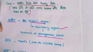 Trick for Mollusca examples ! Easy trick #animalkingdom #mollusca #neet #tricks