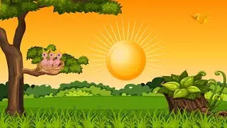 Character animation video || Simple 2d animation video || Bird animation || Background animation