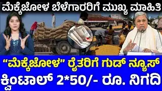 ರೈತರಿಗೆ ಗುಡ್ ನ್ಯೂಸ್! ಮೆಕ್ಕೆಜೋಳ ಬೇಳೆಗಾರರಿಗೆ ಕ್ವಿಂಟಾಲಿಗೆ ಬೆಲೆ ನಿಗದಿ ಮಾಡಿದ ರಾಜ್ಯ ಸರ್ಕಾರ / ks kannada