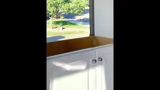 12. Cabinet Edging in a Van Build