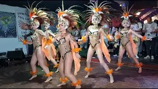 GRES Novo Império  - Beija Flor 1978 @ 5 Festival Samba Novo Império 2023 4k