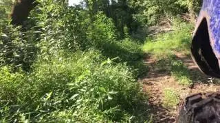 Viking riding in falls of rough ky.