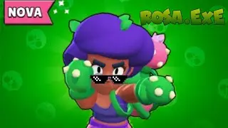 Rosa.exe