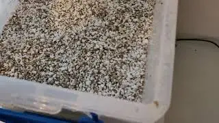 Great reptile egg incubator under $100 #iguana,#incubator
