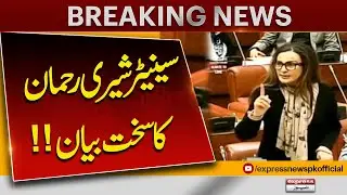 Senator Sherry Rehman Strong Reaction On 27th Amendment | Senate Session Today | Breaking news