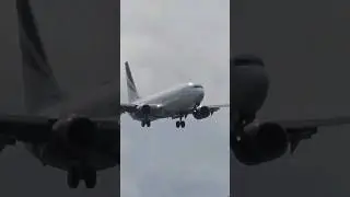 Rex 737