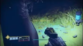 Destiny 2_2020 io lugar de xur 06\11