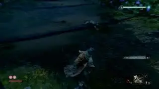 Sekiro shinobi hunter fight