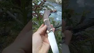 İBEX ( bezuar ) Yaban av ke&ccedil;isi