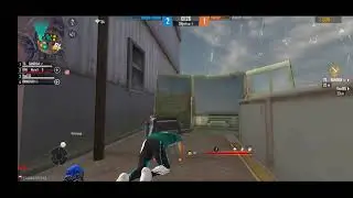 cola aq live insana