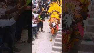 💛 CBN 🐂 ARMY | Bull Mass Ride 🔥🔥 Kothasanambatla