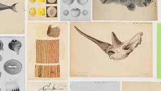 Welcome to Science in the Making | The Royal Society