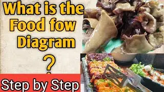 What is a food flow diagram/How to work food flow diagram step by step/process flow diagram