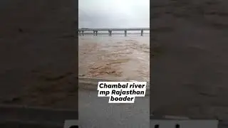 Chambal Nadi | Chambal News | Chambal nadi live | Chambal News today #Shorts