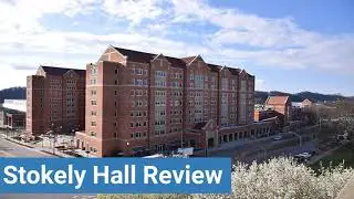 University of Tennessee System Stokely Hall Review
