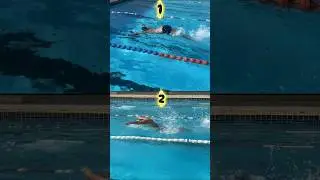 Learn Butterfly in Two Steps &mdash; Body Wave First, Stroke Later