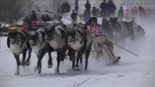 Indigenous Nenets hold annual reindeer race in Russia