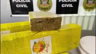 Dise apreede tijolos de maconha no bairro Mat&atilde;o em Sumar&eacute; - SP  04 / 05 / 21