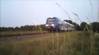 Vlexx Lint 54 bei Bavendorf