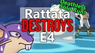 Rattata Solo Run - Pokemon Moon Elite Four Sweep