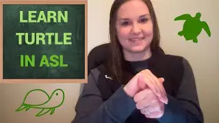 Turtle in ASL | EASY Turtle in ASL