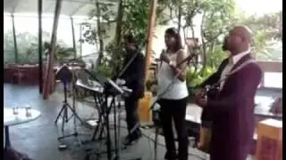 PULSE CRAFT Rose Garden - Cover - YouTube.wmv