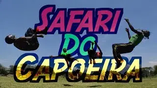 SDC - trailer