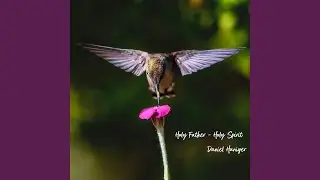 Holy Father Holy Spirit