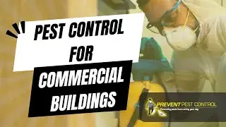 The Importance of Regular Pest Control for Commercial Buildings