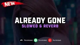 DJ Already Gone ( Slowed & Reverb ) 🎧