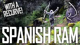 PEDRO & THE SPANISH RAM | The Push Archery