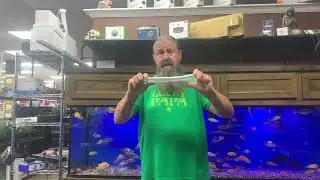 Turning an Internal Aquarium Overflow into a High Capacity Filter