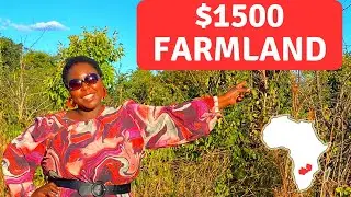 Virgin Farmland For Sale in Chaminuka Chisamba Zambia | $1500 |  2024 #zambia #africa #landforsale