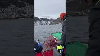 Arctic adventures in King Crab wonderland💙🦀 #arctic #exclusive #nature #kingcrab #luxury