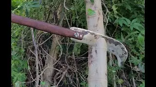 the peasants best friend - The Mighty Billhook