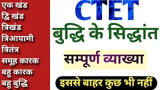 बुद्धि|प्रमुख सिद्धांतो की सम्पूर्ण व्याख्या|अब कभी नही भूलेगा|INTELLIGENCE THEORY|CTET,UPTET,MP TET