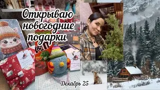 24 декабря 2025 г.