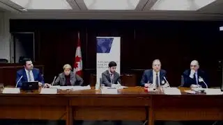 Canada's approach in promoting respect for human rights in the Middle East. Has it been effective?