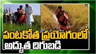 పంటకోత ప్రయోగంలో అద్భుత దిగుబడి: MP Bellana Chandra Sekhar Organic Farming | Matti Manishi | 10TV