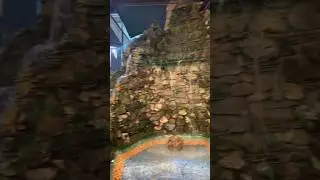 БЕЛЫЕ ВОДЫ КАФЕ С ФОНТАНОМ 🤗