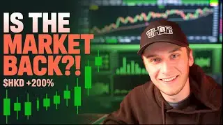 Эта крупная акция MEME ВЕРНУЛАСЬ.. $HKD +200%