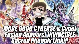 MORE GOOD CYBERSE SUPPORT & Cynet Fusion! Sacred Phoenix Ritual Link Archtype Coming!?