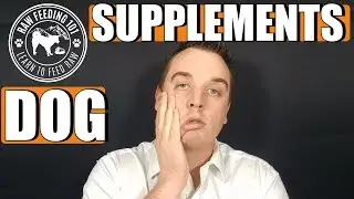 Dog Supplements For Raw Food