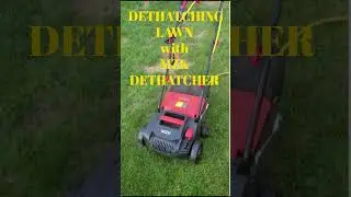 Dethatching dead grass in your lawn with MZK electrical Dethatcher