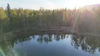 Drone Footage for Media (Silent) // Alaska's 2025 Wildland Firefighting Academy